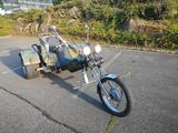 Andere WK Trike, Airbrush, H-Kennz., keine Helmpflicht - BENZIN TRIKE