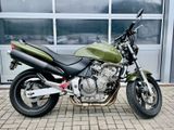 Honda Hornet CB 600 Urban Green TÜV neu - HONDA 2000 HORNET 600