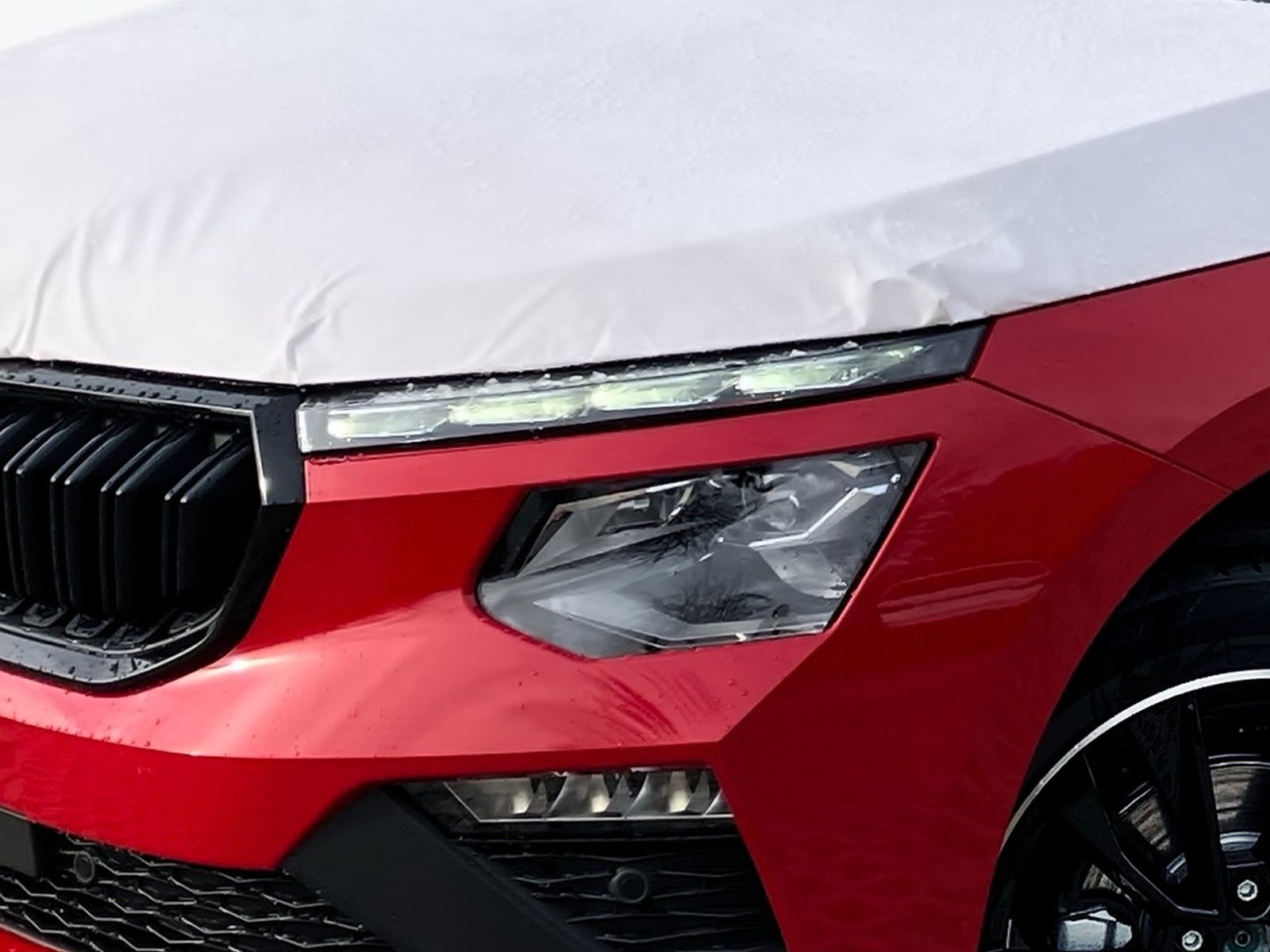 Skoda Kamiq - Bild 6