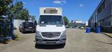 Mercedes-Benz Sprinter II Kühlwagen - Angebote