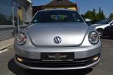 Volkswagen Beetle Lim. Cup - Volkswagen Beetle: Cup