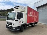 MAN TGL 8.220 2-Kammer Kühlung, Automatik, Seitentür - Angebote
