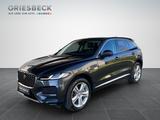 Jaguar F-PACE P400e - Hybrid 360 Leder SpurH LED - Jaguar F-Pace Plug-in Hybrid (PHEV) Gebrauchtwagen