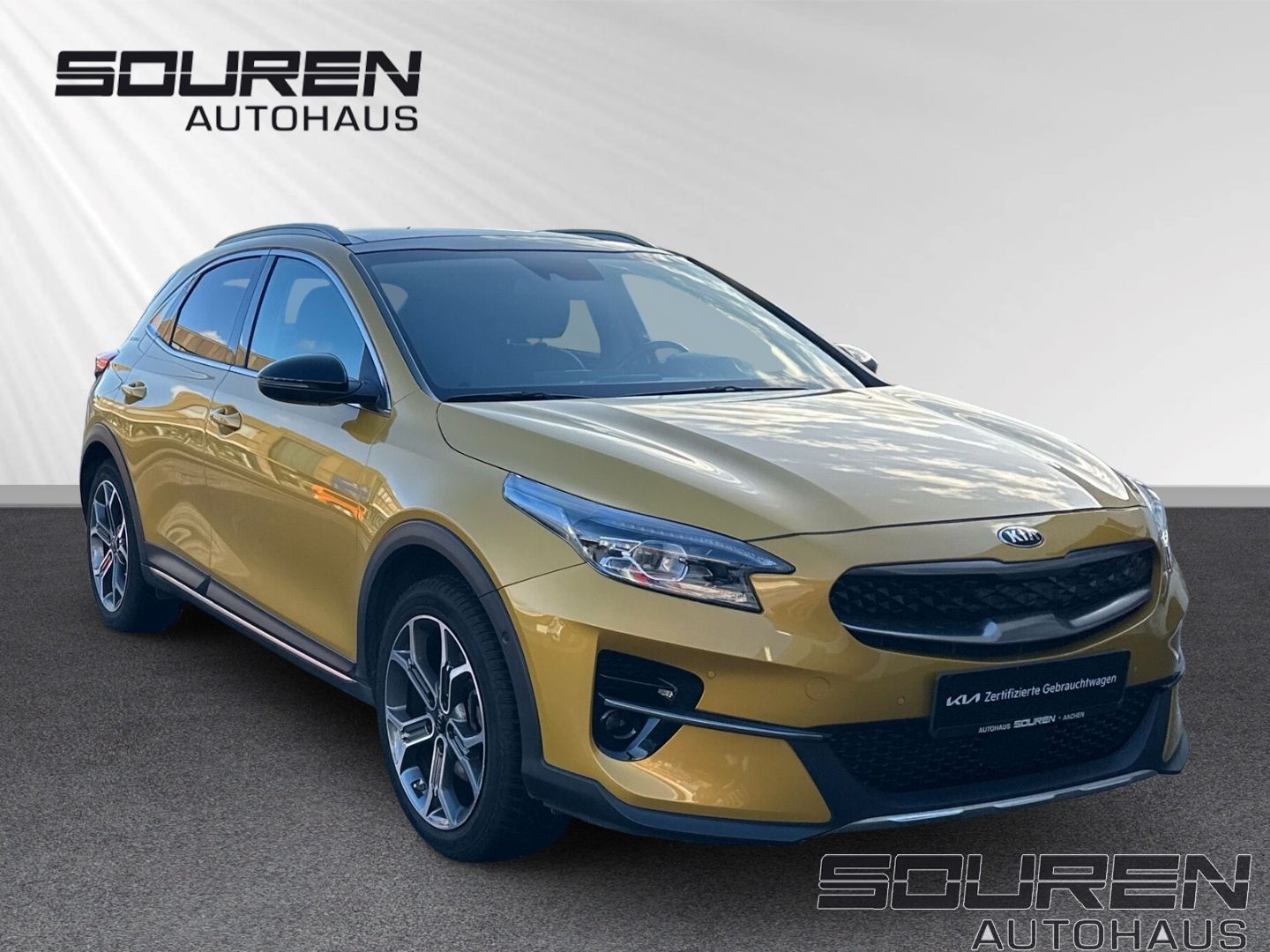 Fahrzeugabbildung Kia XCeed 1.6 T-GDI PHEV Platinum AHK Panoramadach