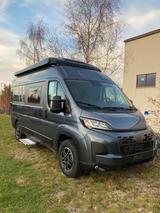 Carado CV 541 mit großer Hecksitzgruppe + Schlafdach - Kastenwagen mit Hecksitzgruppe
