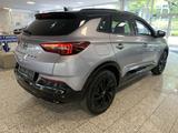 Opel Grandland GS Line 1.5 CDTI LED+KAMERA+SITZH+SPUR - Opel Grandland (X) aus 2023