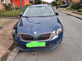 Skoda Octavia Drive 1.6 TDI, DAB, AHK, TÜV... - Skoda Octavia Drive mit Diesel-Antrieb