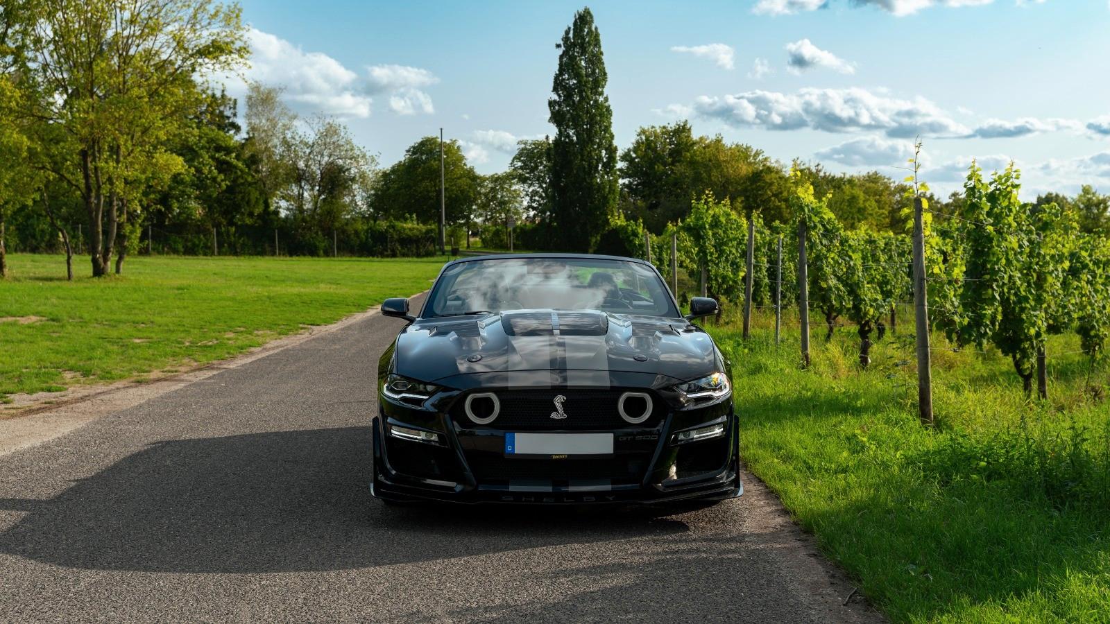 Ford Mustang GT 5.0 V8 | Shelby Kit | 55 Years Ed.
