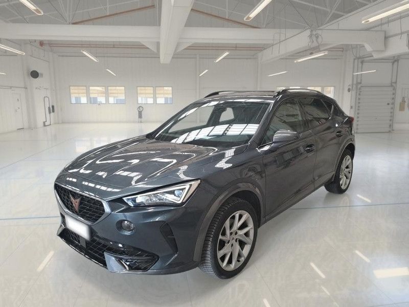 Cupra CUPRA FORMENTOR 2.0 TDI 4DRIVE DSG SUV