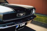 Ford Mustang - Ford Mustang aus 1966