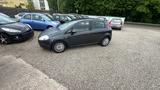 Fiat Punto 1.4 8V Active Active - gebrauchte Fiat Punto aus dem Jahr 2008