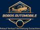 Boros Automobile- Riedstadt