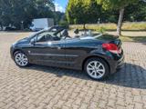 Peugeot 207 CC Cabrio, Leder, 8xAlu