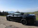 Ford Mustang Cabrio 3,7 - Ford Mustang Gebrauchtwagen in Stuttgart
