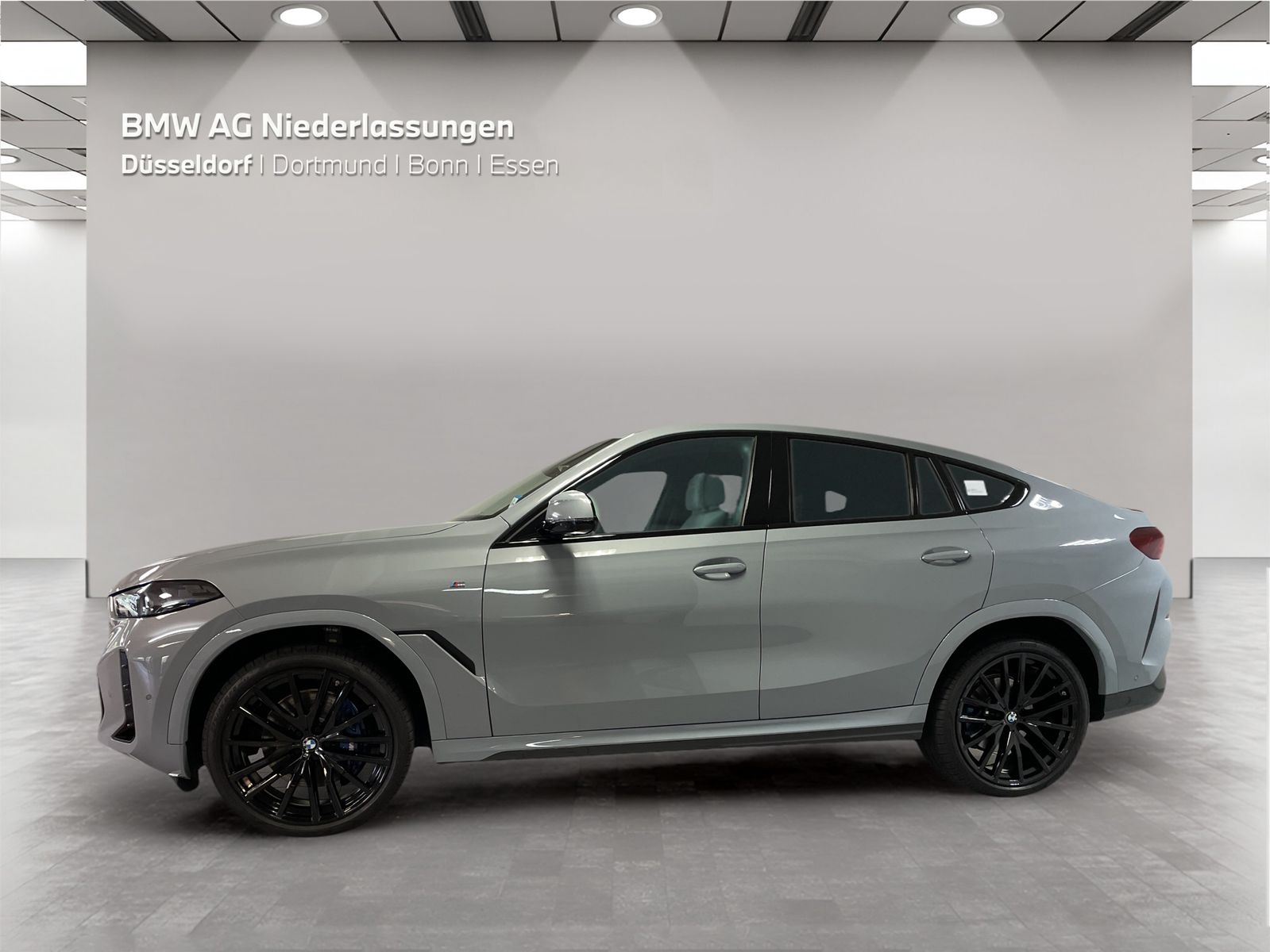 BMW X6 xDrive30d M Sport Driv.Assist.Prof Harman K foto 3