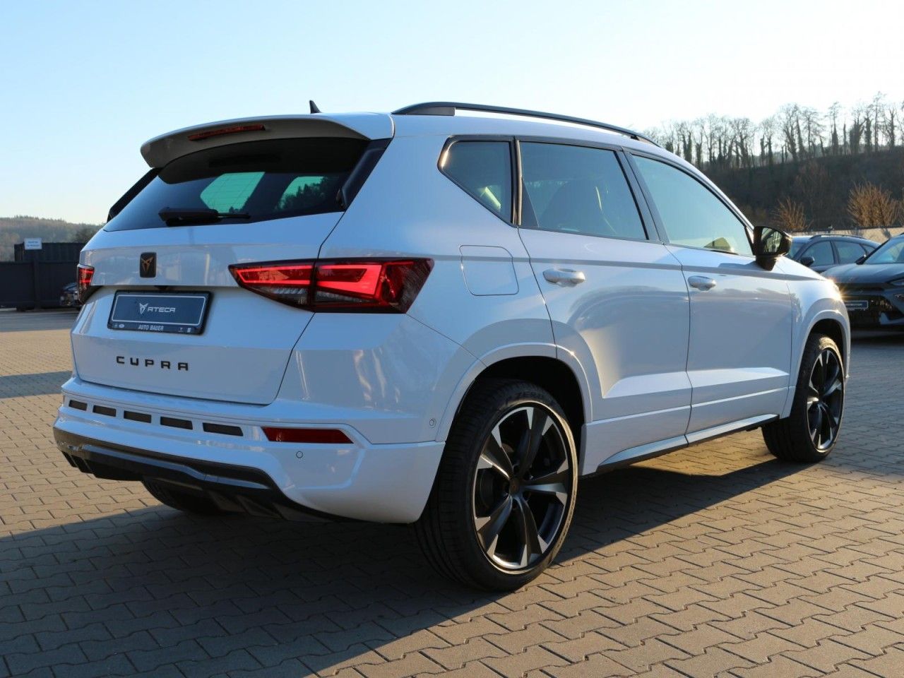 Fahrzeugabbildung CUPRA Ateca 2.0 TSI DSG 4Drive