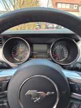 Ford Mustang 5.0 Ti-VCT V8 Black Shadow Edition A... - Ford Mustang: Edition