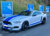 Ford Mustang 5.0 V8 *GT 350 Optik*