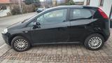 Fiat Punto 1.4 8V Dynamic Dynamic - Fiat Punto Dynamic mit Benzin-Antrieb