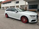 Audi A4 Avant 3.0 TDI sport quattro S-Line+ Panodach - Audi A4: Weiß, Kombi, Line