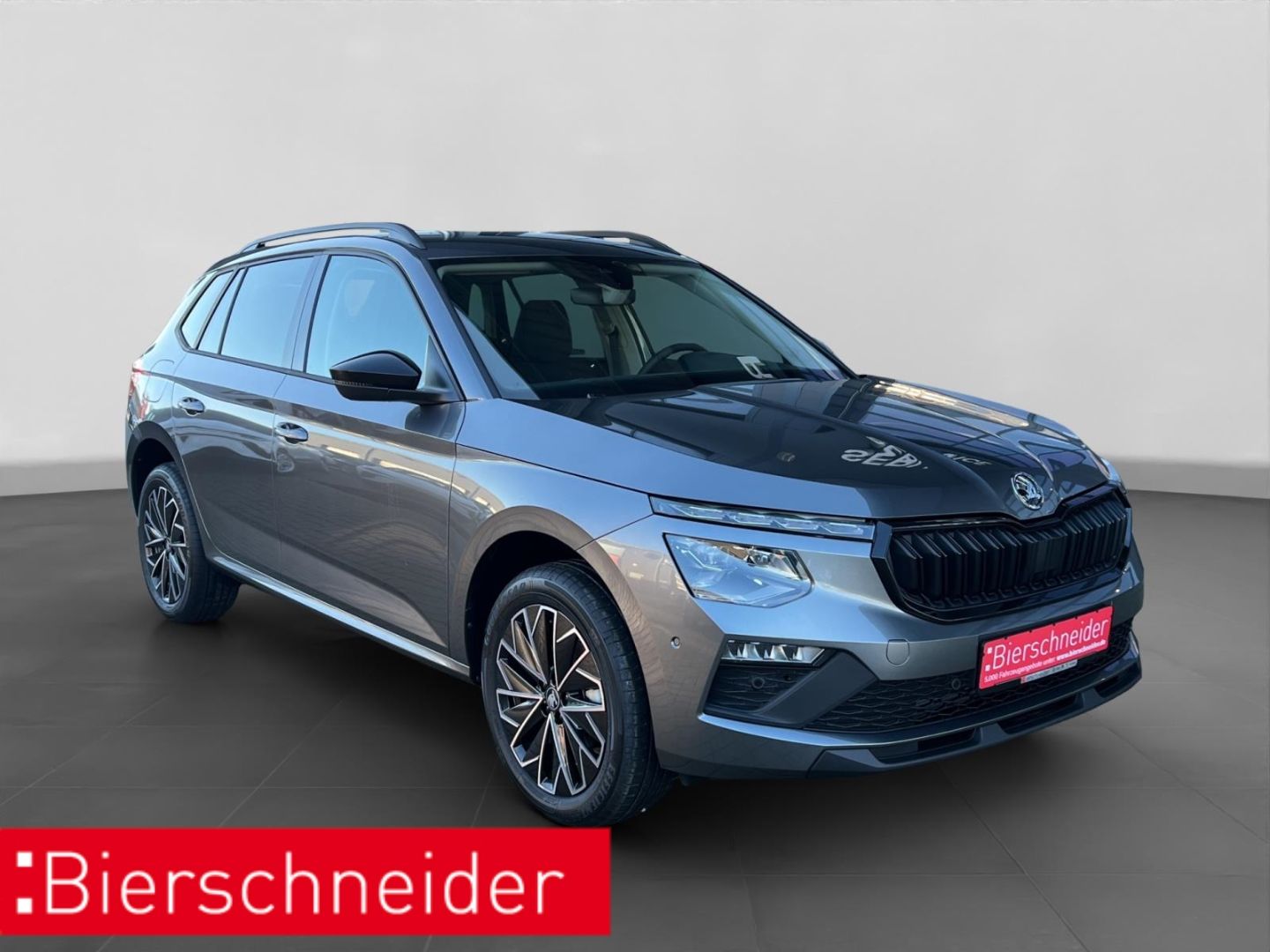 Skoda Kamiq - Bild 9