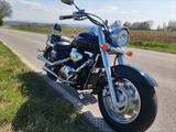 Suzuki VL1500 - Angebote
