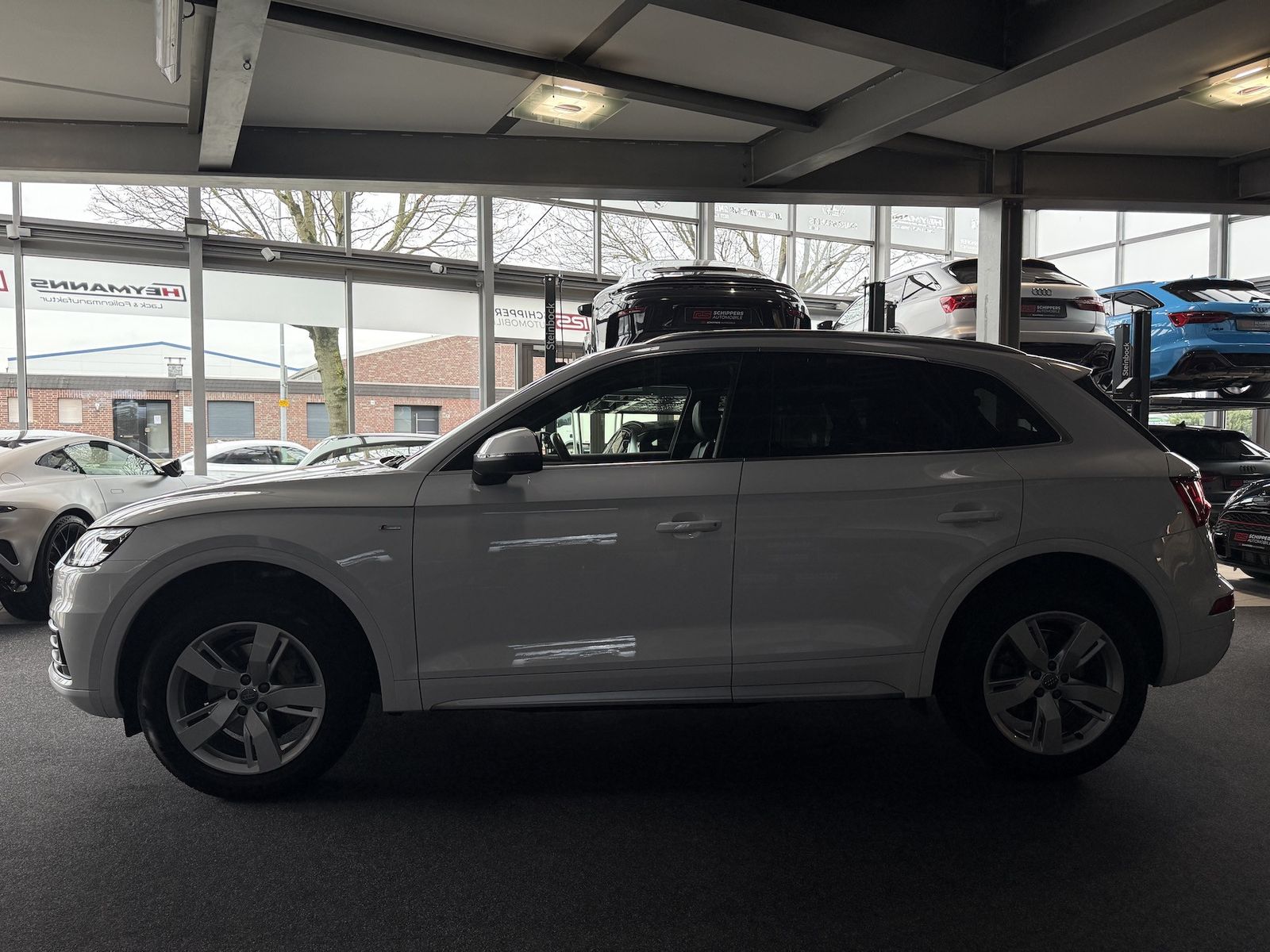 Fahrzeugabbildung Audi Q5 40 TDI qu. Sport S-LINE|NAVI|R-KAMERA|PANO