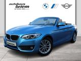 BMW 220i Cabrio LED HiFi PDC Sport-Lenkrad - : Blau, Beheizbares Lenkrad, Cabrio