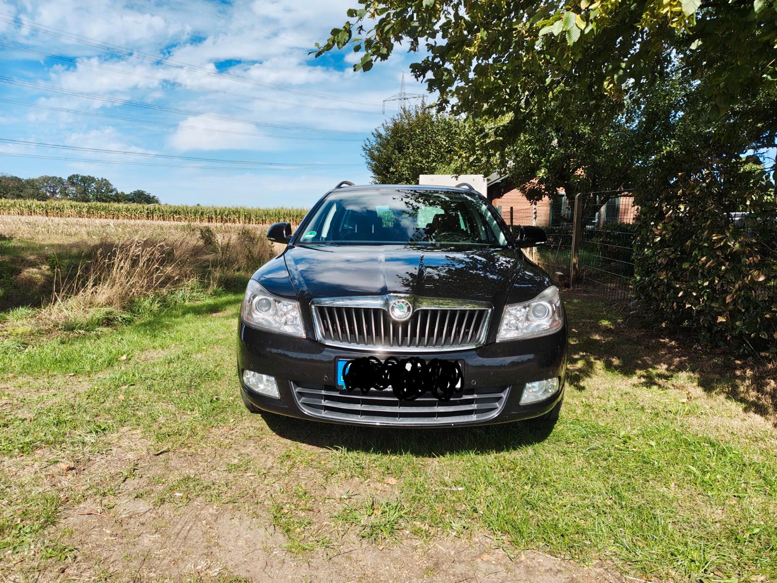 Skoda Octavia 2010 — вигляд ззаду