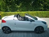 Renault Cabrio Renault Wind - Renault Wind von privat