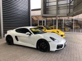Porsche Cayman GTS GTS - Porsche Cayman aus 2016