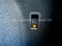 Cupra Terramar - Vorschau Bild 28