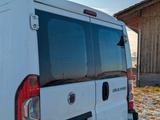 Fiat Ducato - Fiat Ducato von privat