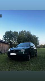 Volkswagen VW Lupo 1.0 TSI - VW Lupo Gebrauchtwagen in Hannover