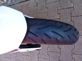 KTM Duke 125 - KTM 125