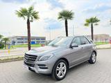 Mercedes-Benz Mercedes ML 250 CDI 4Matic Sport E6 Gancio Train - silberne Mercedes-Benz ML 250