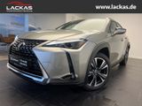 Lexus UX 250h STYLE*FWD*EDITION*FACELIFT*LED*CARPLAY*G - Lexus UX aus 2022