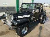 Jeep Wrangler 2.5 - - gebrauchte Jeep Wrangler aus dem Jahr 1990