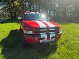 Andere Verkaufe Dodge RAM Pickup 1500 V8 Magnum - Andere aus 1995