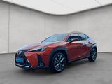 Lexus UX 250h F-Sport Design - Lexus Gebrauchtwagen in Stuttgart
