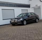 Mercedes-Benz E 220 CDI BlueEFFICIENCY ELEGANCE ELEGANCE - Mercedes-Benz E 220 mit Diesel-Antrieb: Limousine, Cdi Elegance
