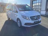 Mercedes-Benz V 250 d 4M EDITION Lang Navi 6-Sitze - Mercedes-Benz V-Klasse Gebrauchtwagen in Dresden