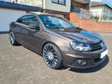 Volkswagen Eos 1.4 mit neuen 19" & H&R 40mm Tieferlegung - Volkswagen Eos: R