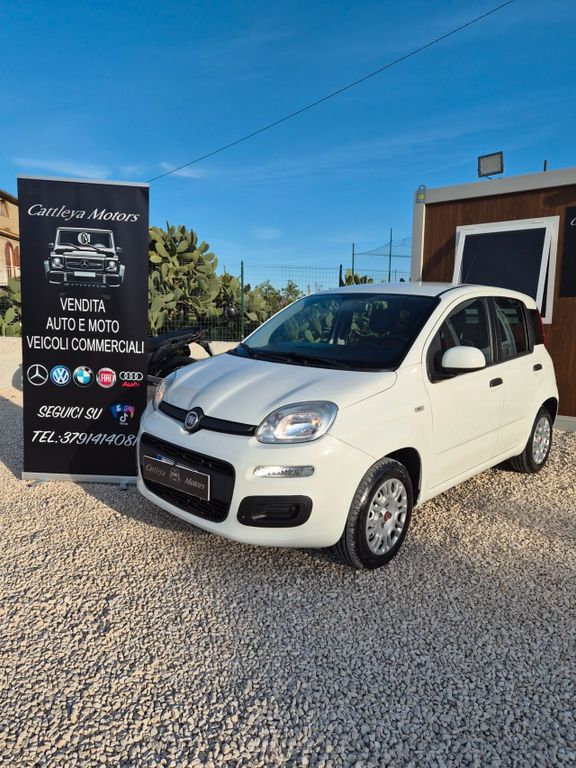 Image of Fiat Panda