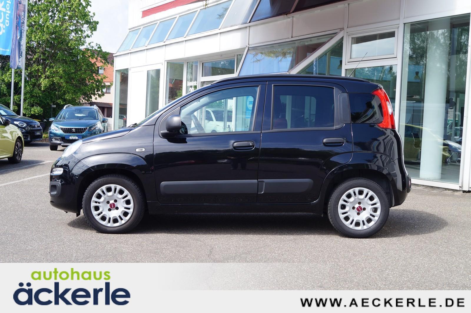 Fiat Panda Easy Winter-Paket I Komfort-Paket | Beheiz