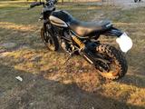 Ducati Scrambler Desert Sled inkl. Zubehör - DUCATI SCRAMBLER