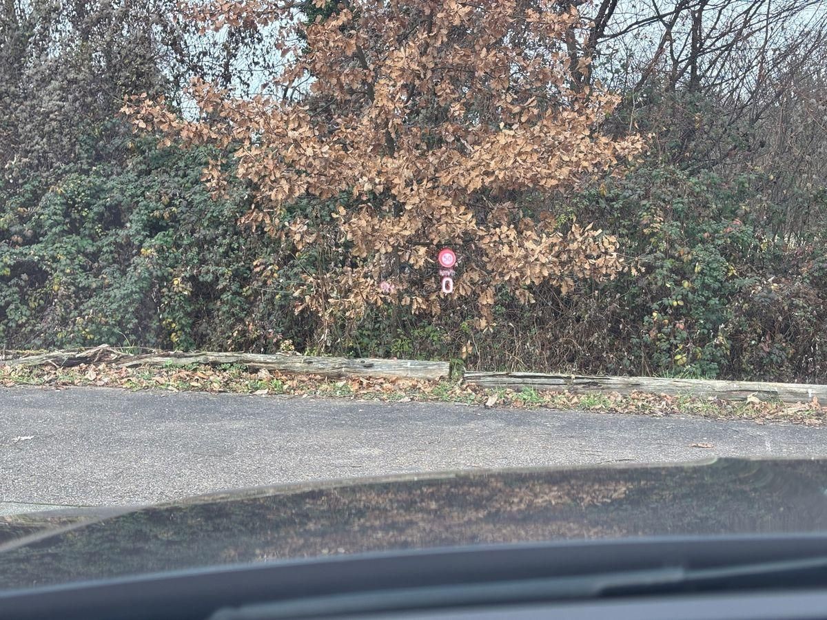 Octavia Style 1.5 TSI  e-TEC DSG RFK HUD ACC