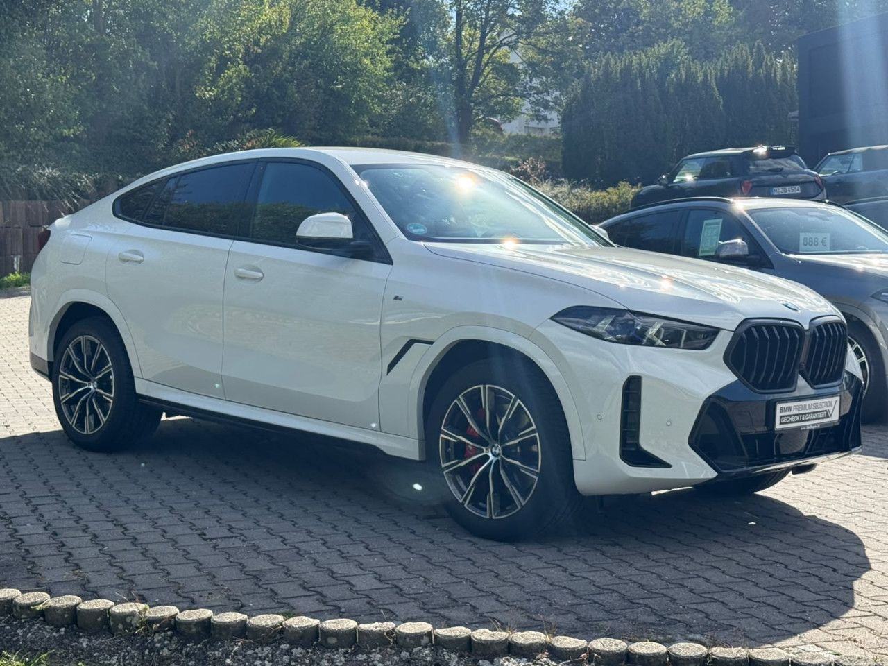 BMW X6 x30d M Sport Pro Iconic foto 2