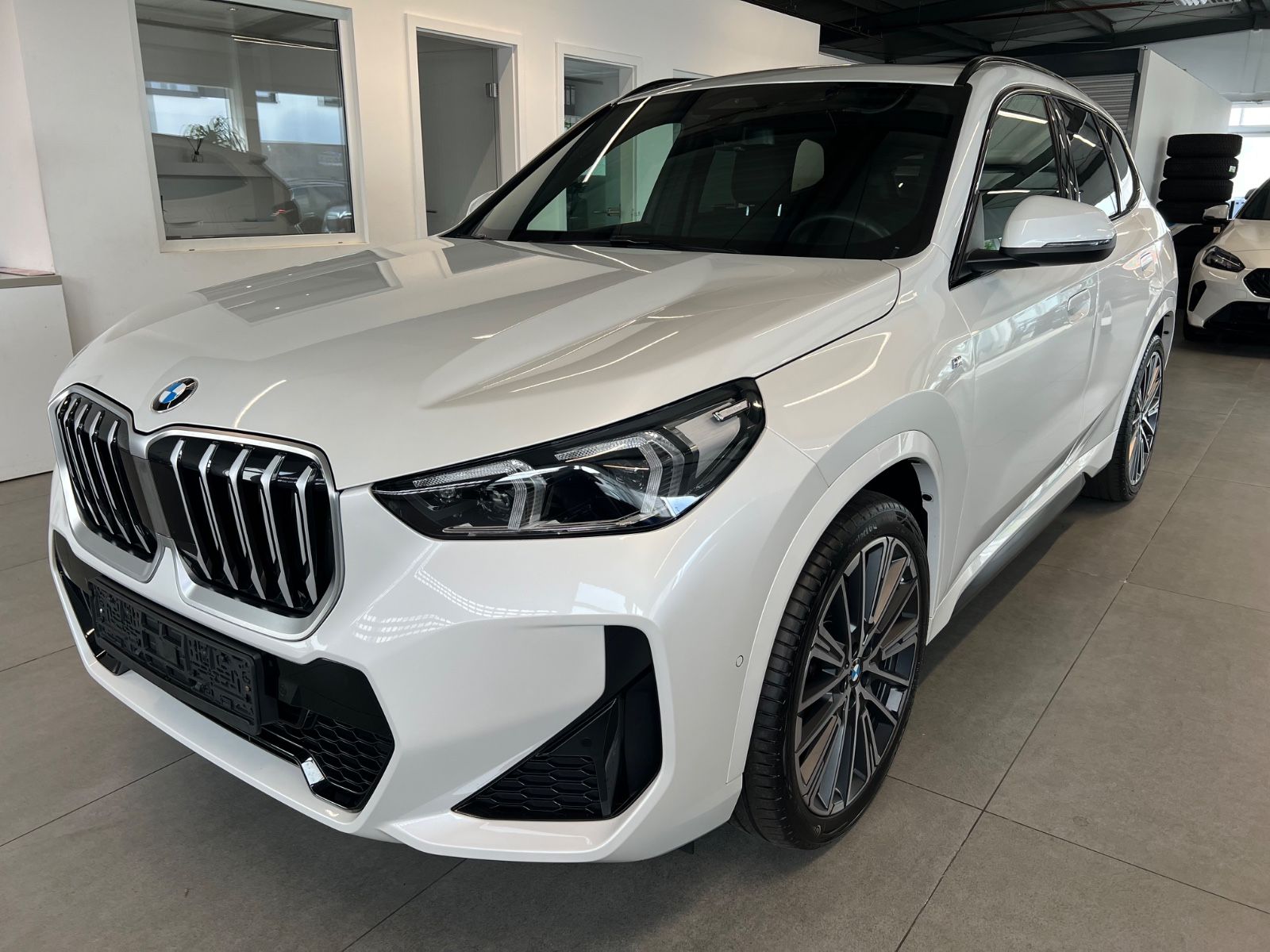 BMW X1 xDrive 23 d M Sport/ Pano/ H&K/ AHK