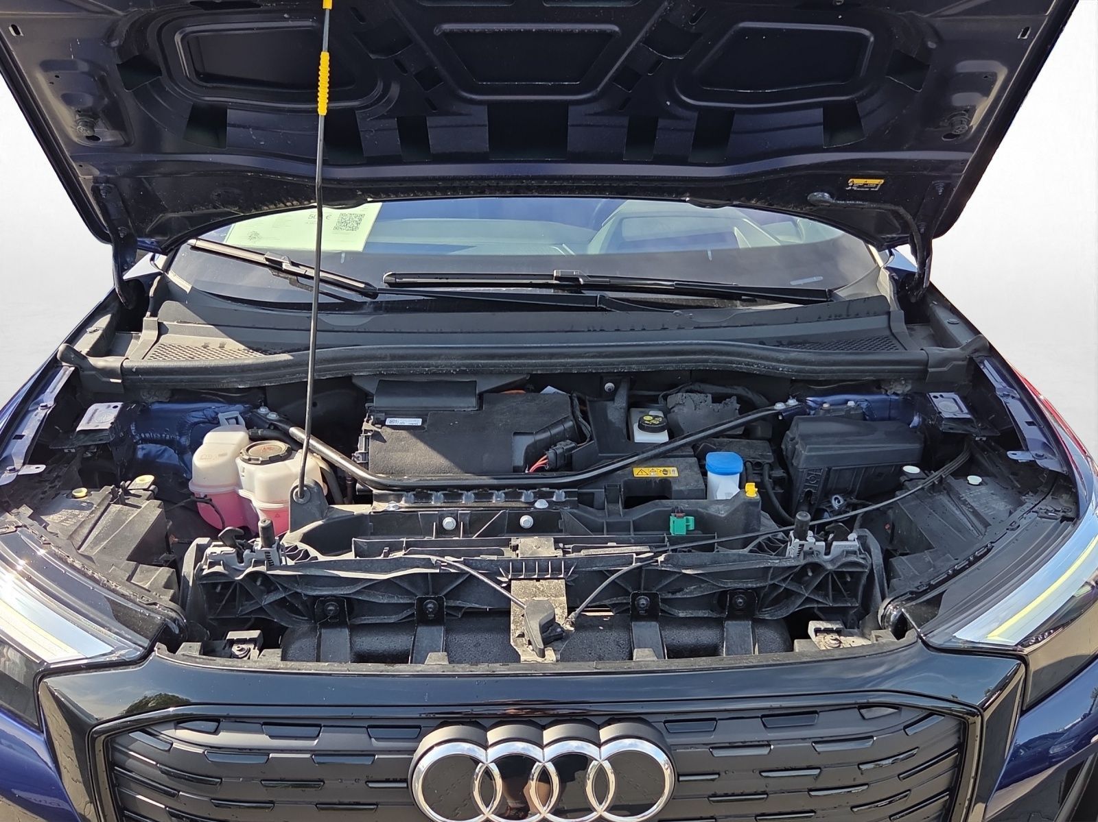 Audi Q4 e-tron - Bild 19